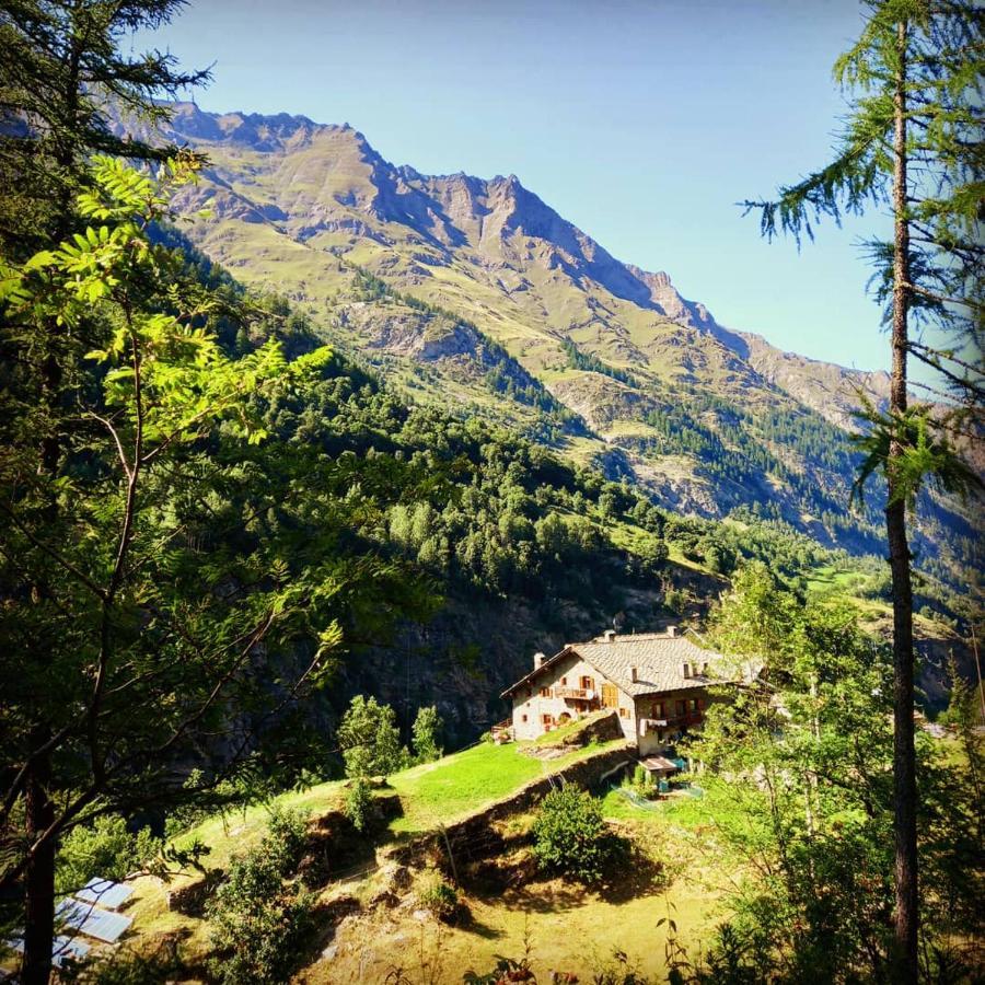 Le Vieux Creton, Rhemes-Saint-Georges Leilighet Eksteriør bilde